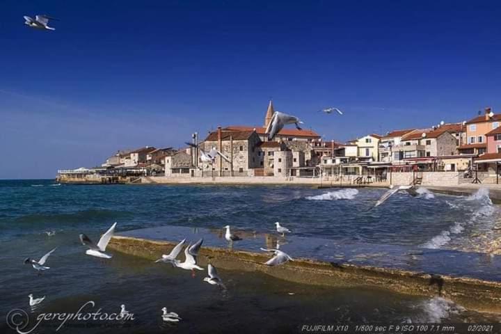 Ante Apartman *